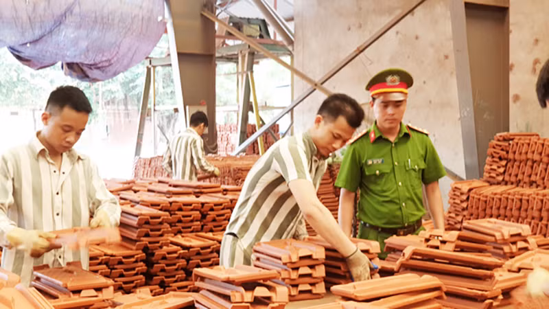 nghe.jpg -0