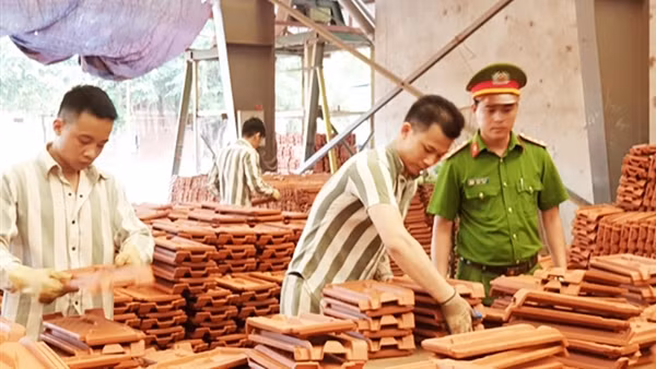 Lao động, dạy nghề cho phạm nhân ngoài trại giam nhằm nâng cao hiệu quả công tác giáo dục, cải tạo ảnh 5