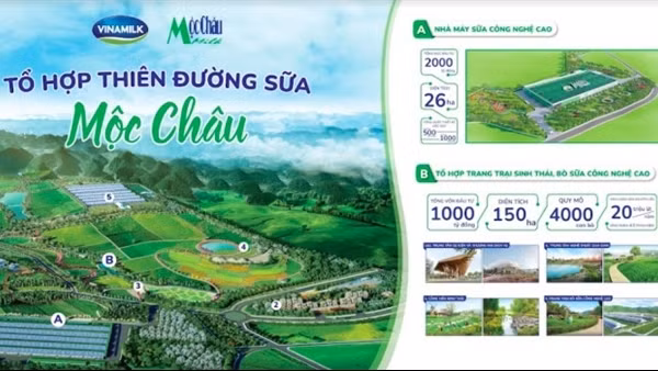 Xây dựng kho cảng, thúc đẩy hiệu quả luồng tàu biển lớn vào sông Hậu ảnh 2