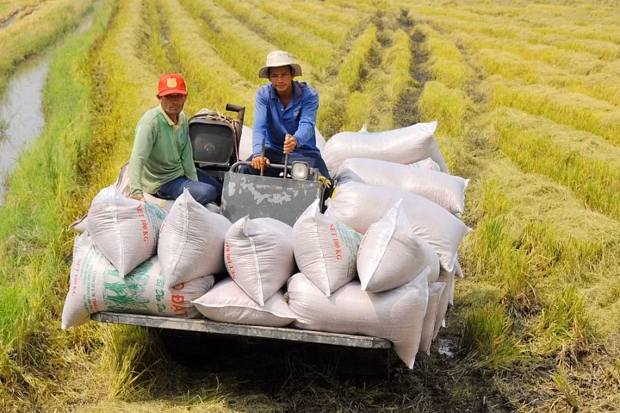 Tăng cường kiểm soát thị trường lúa gạo, chống đầu cơ găm hàng -0