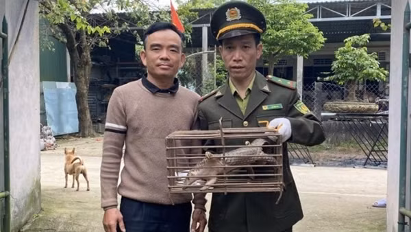 Ngăn chặn hành vi săn lùng, tận diệt động vật hoang dã làm thức ăn và làm thuốc