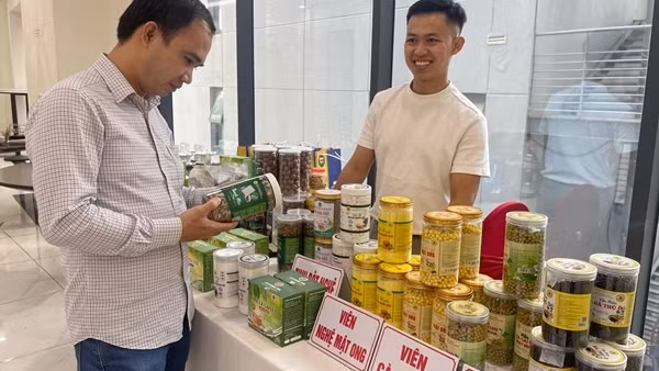 Đặt mục tiêu kim ngạch xuất khẩu năm 2025 tăng từ 10-12%