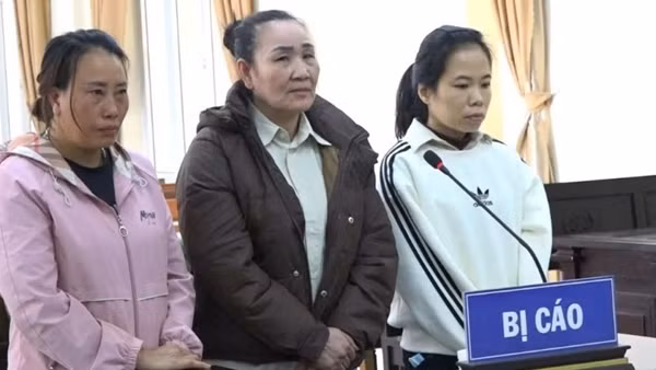 Học vấn lớp 5, làm giả sổ đỏ “qua mặt” nhân viên ngân hàng