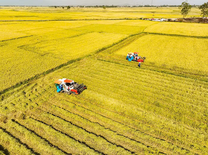 20 năm xây dưng và phát triển quê hương Tây Hòa anh hùng -0