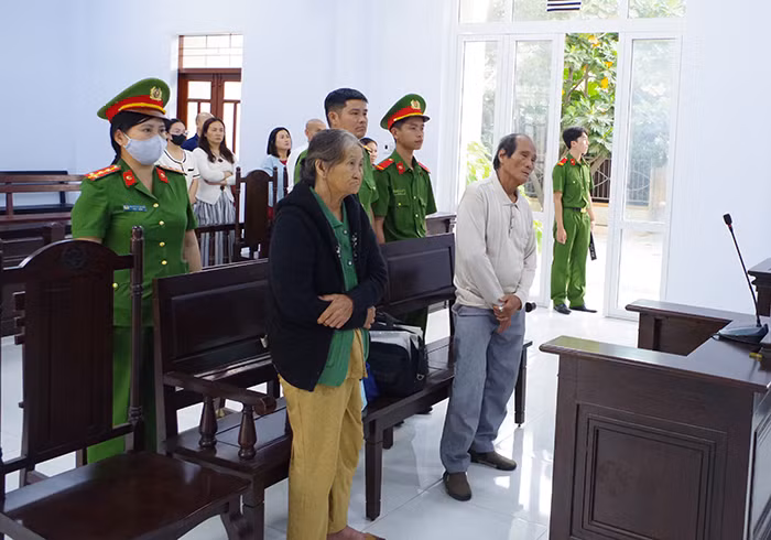 Xét xử sơ thẩm với 2 bị cáo “vu khống” lãnh đạo các cấp -0