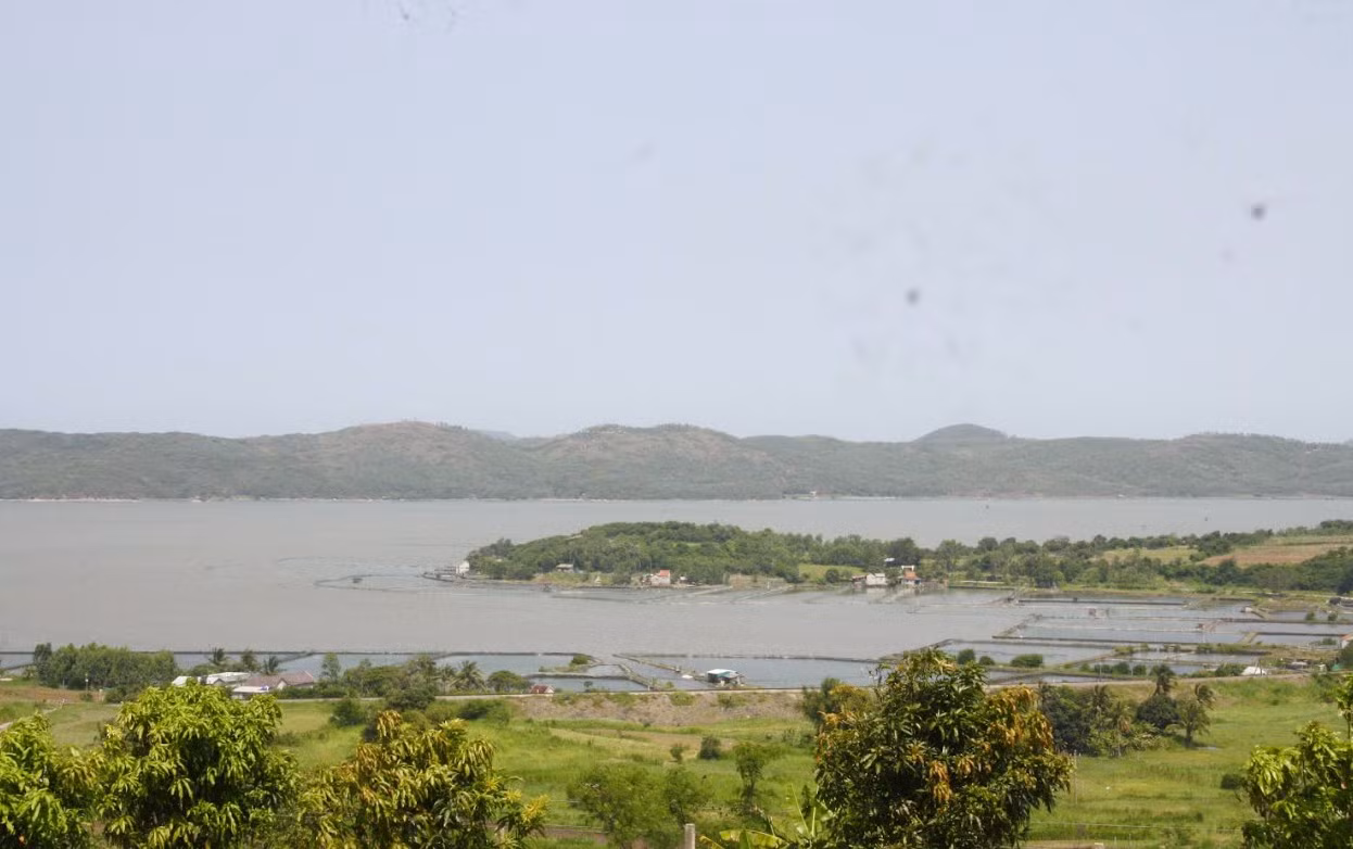 c3.jpg -2