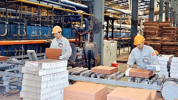 Động lực để kinh tế tư nhân “sinh trưởng khỏe mạnh” trong kỷ nguyên mới