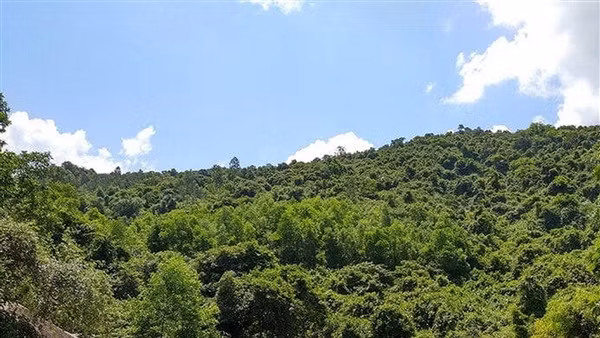 Phát hiện bộ xương nghi người mất tích cách đây hơn 1 năm khi vào rừng tìm trầm