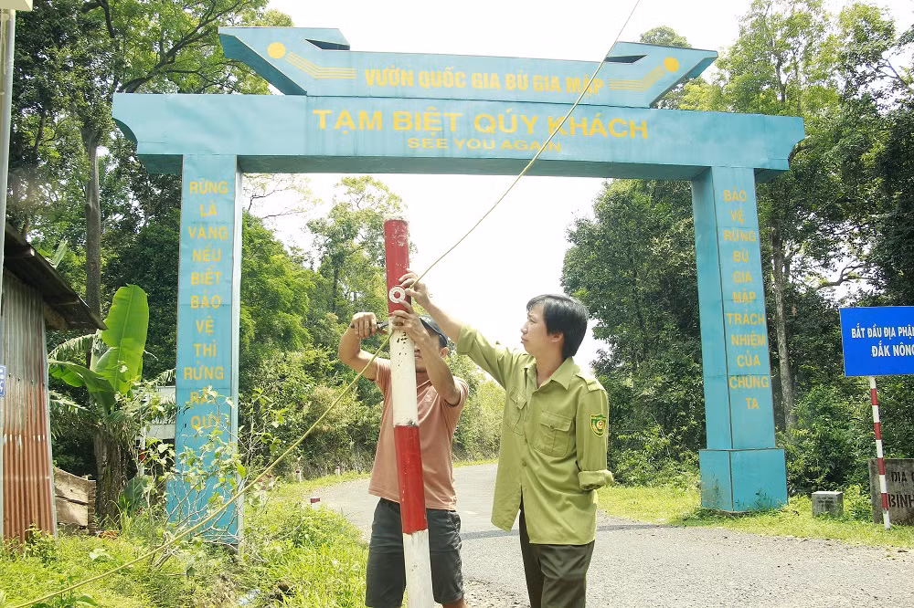 Người kiểm lâm bị chém cụt tay vẫn tiếp tục giữ rừng -0