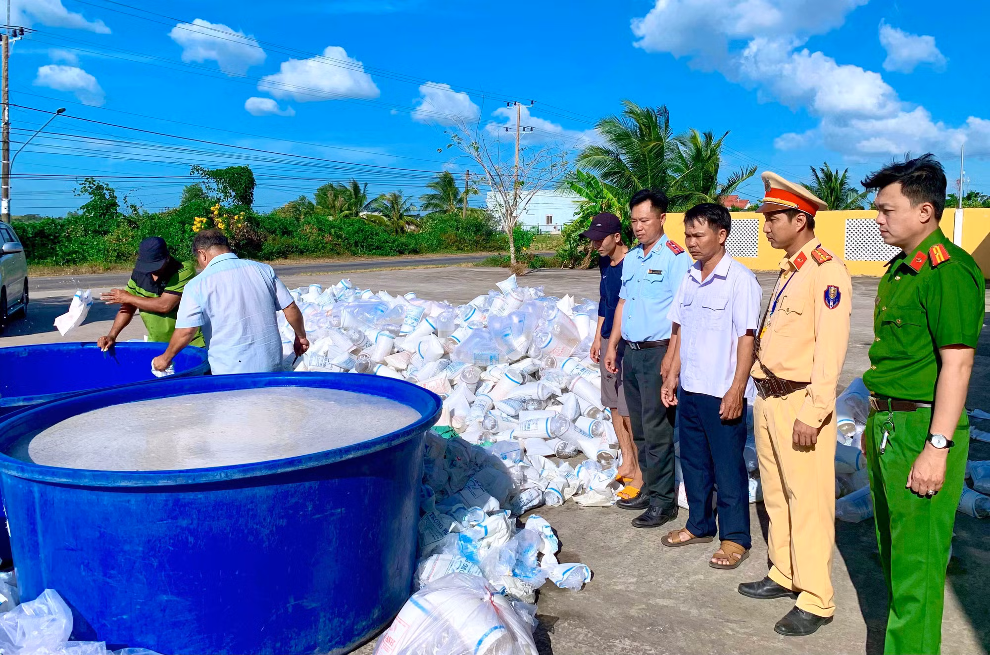 Tiêu hủy trên 2,7 triệu tôm giống không chứng nhận kiểm dịch -0