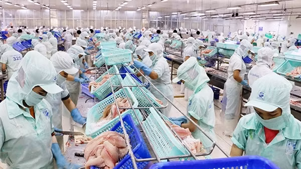 Nâng cao sức cạnh tranh của ngành hàng cá tra Việt Nam
