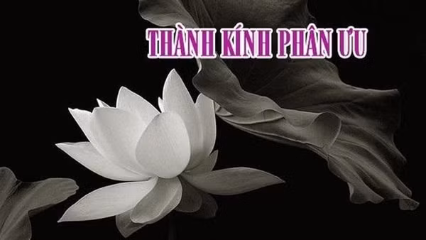 Nguyên Phó Chủ nhiệm Ủy ban Kiểm tra Trung ương Vũ Quốc Hùng qua đời