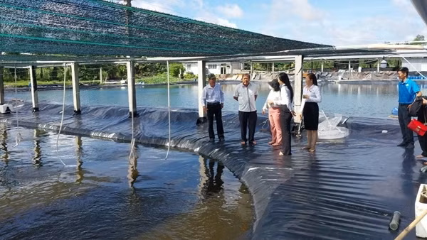 Agribank chi nhánh Cù Lao Dung tiếp sức vốn phát triển kinh tế