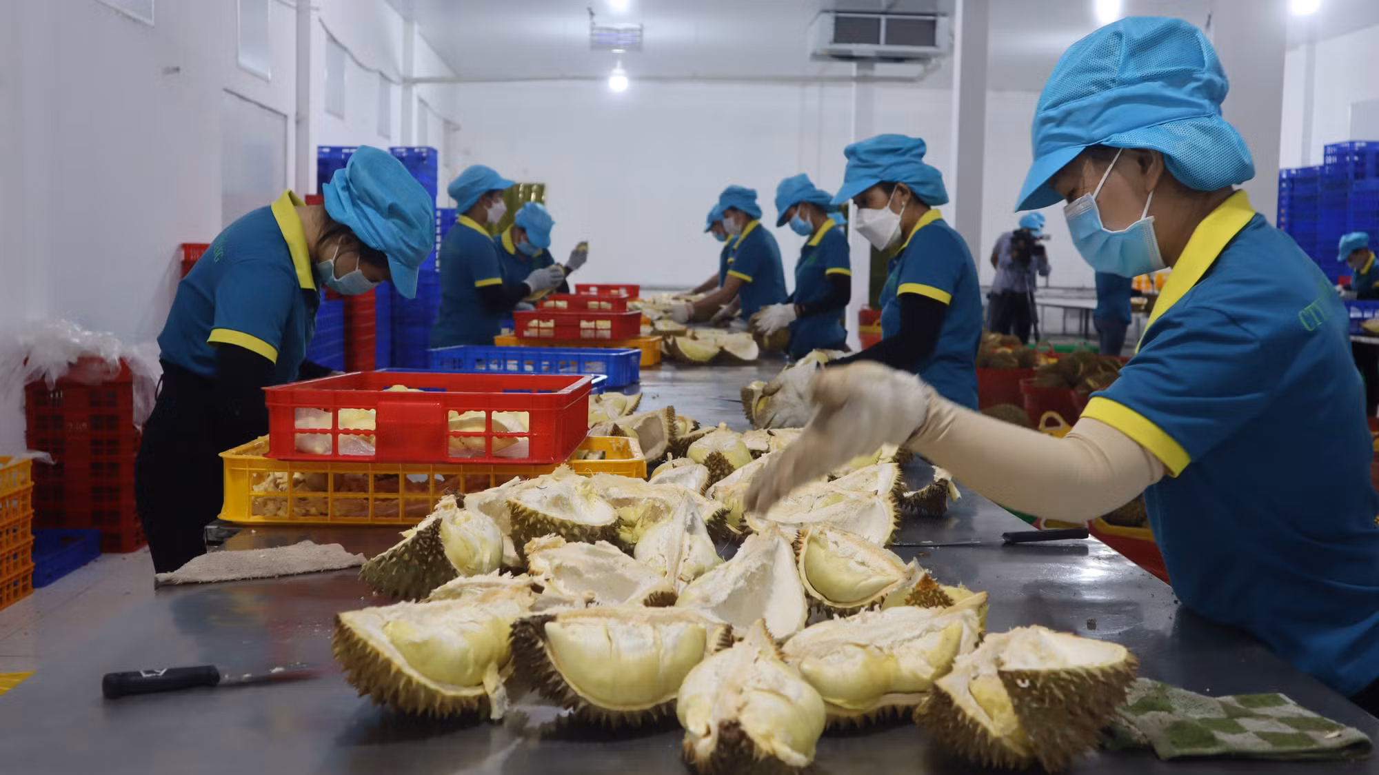 Bình Phước xuất khẩu chính ngạch sầu riêng sang Trung Quốc -0