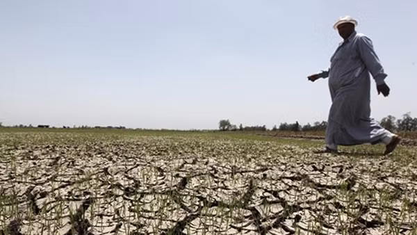 COP27: Thời điểm để giải quyết “3 bất bình đẳng"