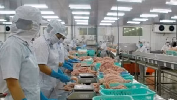 Xuất khẩu thủy sản tăng mạnh ở những thị trường chính