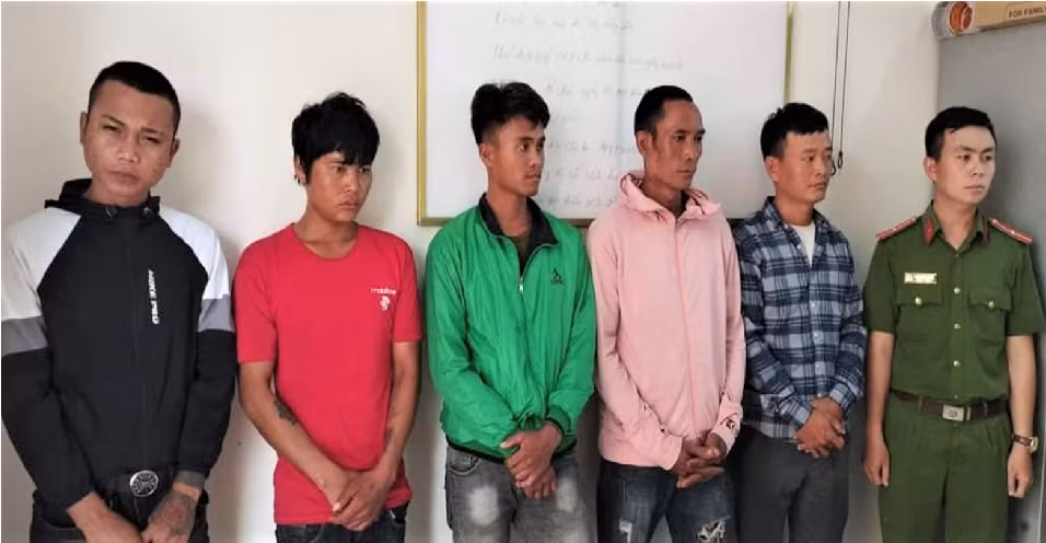 Rủ nhau vào khu bảo tồn đốn gỗ quý -0