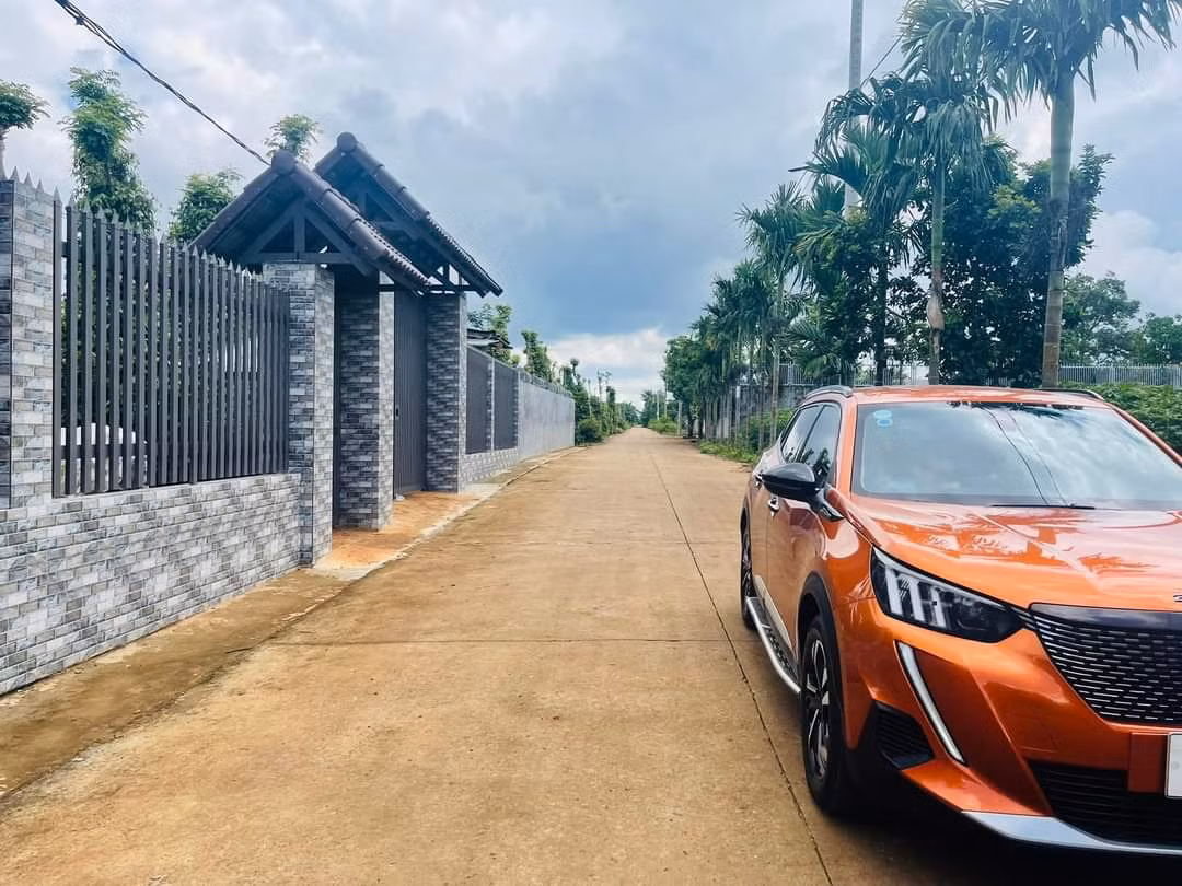 Khi cơn sốt đất qua đi -0