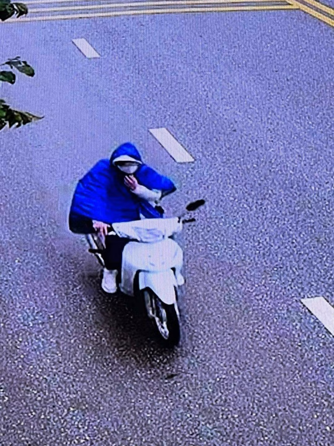 Bắt giữ đối tượng cướp giật tài sản của người phụ nữ đi đường -0