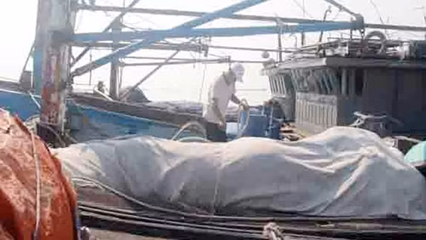 Thiếu hụt lao động đi biển, nhiều tàu cá phải… “trùm mền”