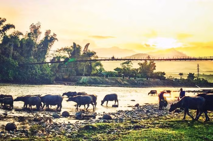 Đi săn cá sỉnh Nậm Thia -0