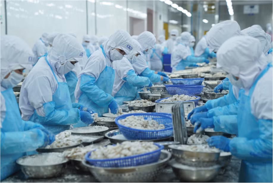 Xuất khẩu thuỷ sản tăng - Vì sao? -0