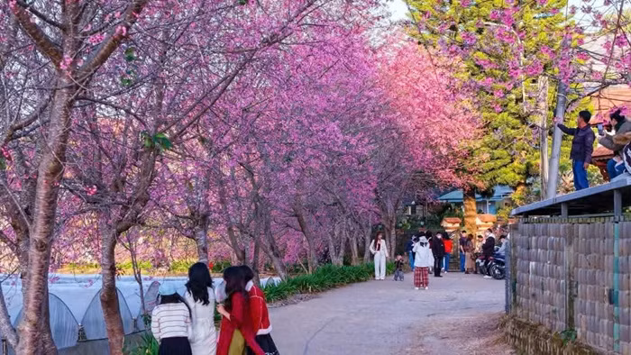 anh 9.jpg -8