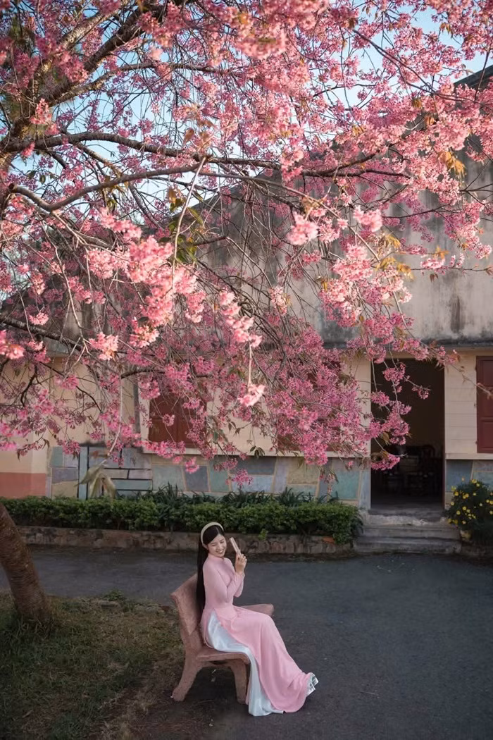 anh 4.jpg -2