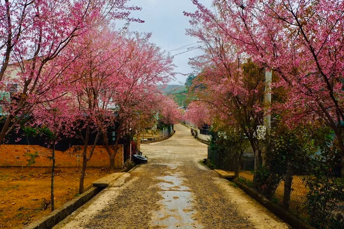 anh 5.jpg -3