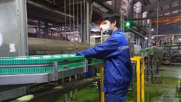 Kim ngạch xuất khẩu của Sóc Trăng vượt 1 tỉ USD ảnh 4