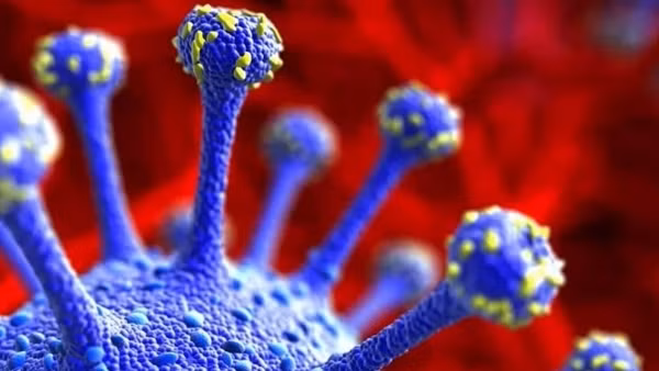 WHO cảnh báo toàn cầu về biến thể virus SARS-CoV-2 cực kỳ nguy hiểm ảnh 4