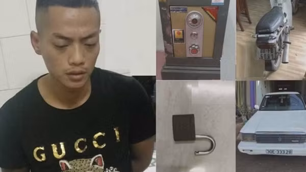 Mang xe rùa đi trộm két sắt của hàng xóm ảnh 3