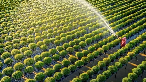 Các địa phương cần hỗ trợ, tạo việc làm cho người lao động ảnh 4