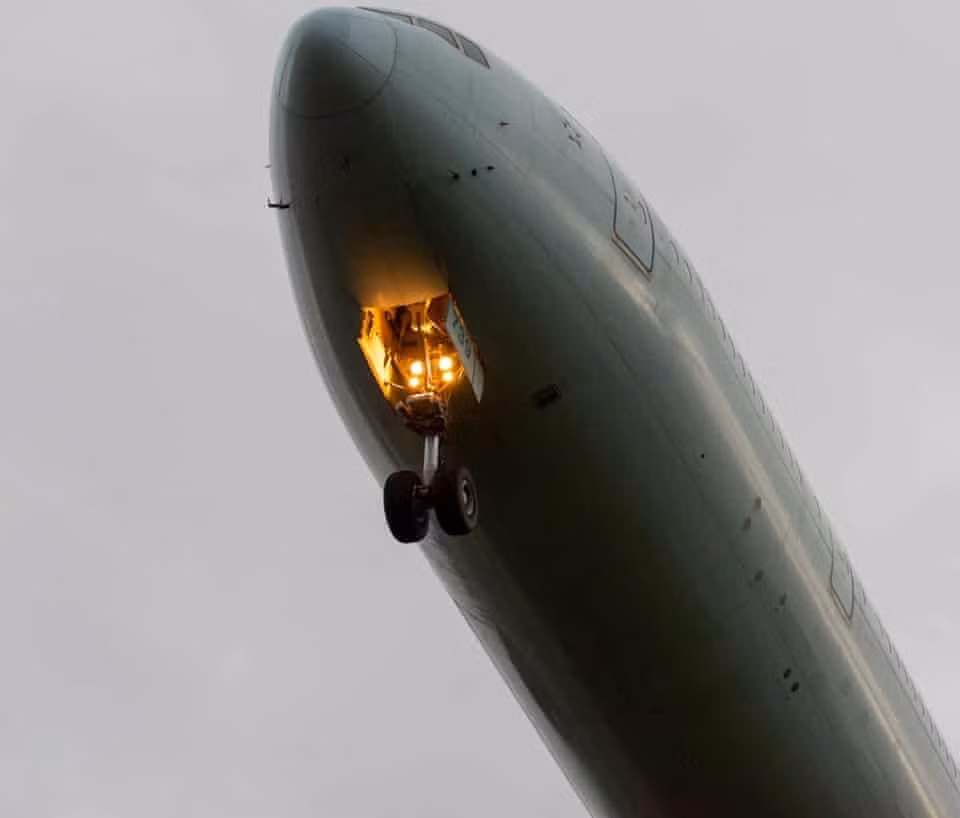 h1.jpg -0