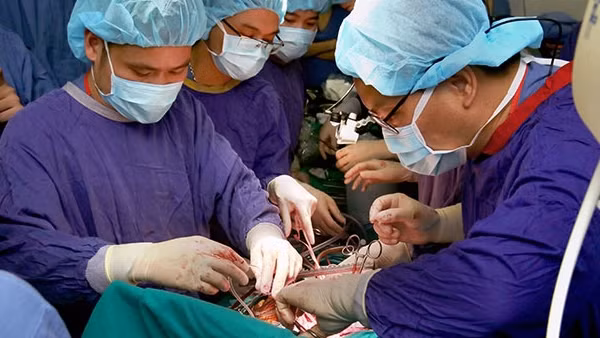 Nhiều người bệnh sẽ được cứu sống nhờ kỹ thuật ghép phổi