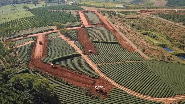 Đình chỉ hai dự án bất động sản “đình đám” nhất Lâm Đồng ảnh 2