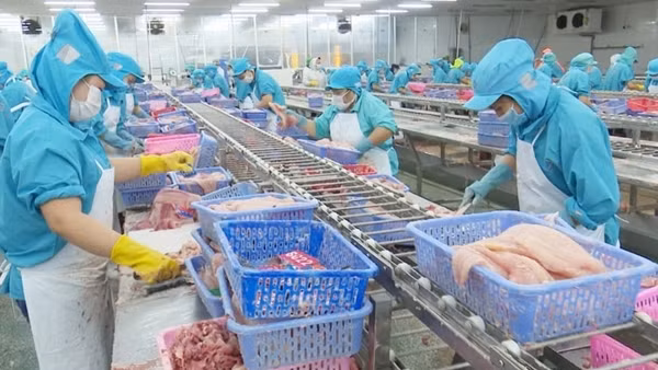 Khơi thông dòng vốn để phục hồi sản xuất kinh doanh