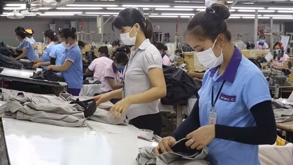 Tận dụng hiệu quả “đường cao tốc” EVFTA để thúc đẩy xuất khẩu hậu COVID-19 ảnh 2