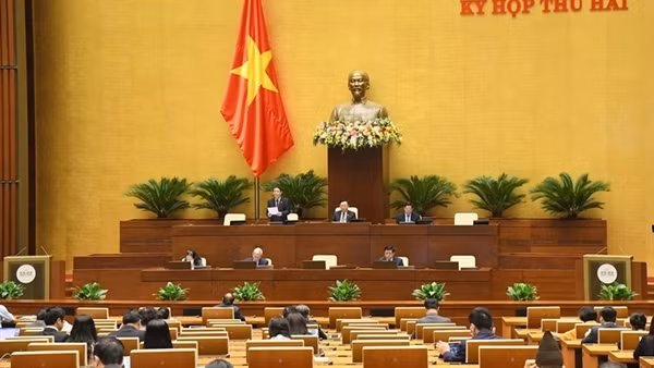Trao "thượng phương bảo kiếm", chính sách phát triển rừng liệu có đạt?