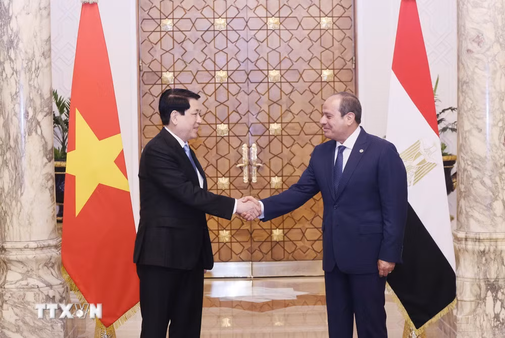 Việt Nam và Ai Cập nhất trí nâng cấp quan hệ lên Đối tác Toàn diện -0