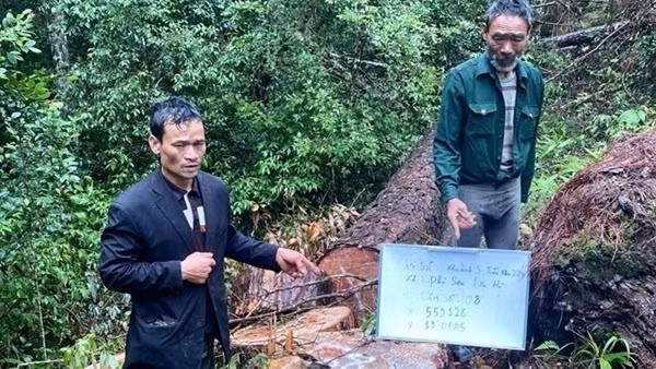 Bắt 4 lâm tặc sau phản ánh của Báo CAND