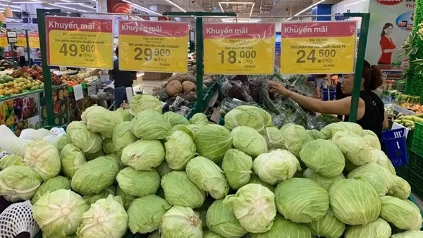 Giá vật liệu bảo dưỡng nhà ở, giá thực phẩm, ăn uống ngoài gia đình tăng kéo CPI tháng 7 tăng 0,11%
