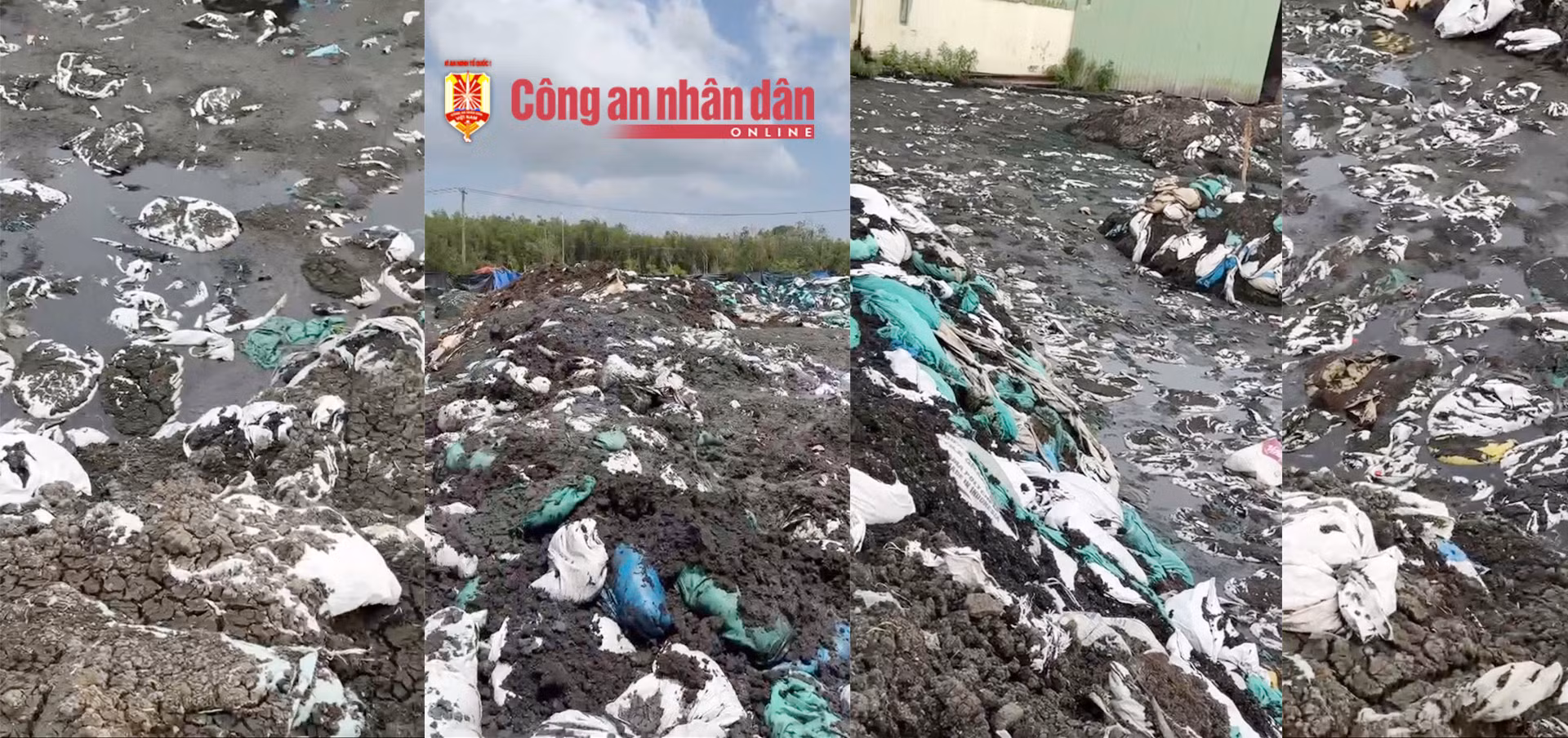Bắt quả tang công ty sản xuất đất sạch tiếp nhận chất thải công nghiệp gây ô nhiễm môi trường -0