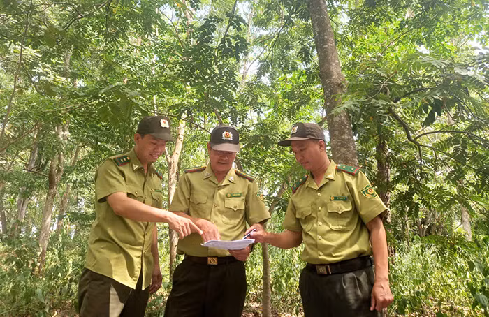 Gian nan cuộc chiến bảo vệ rừng đặc dụng Krông Trai -0