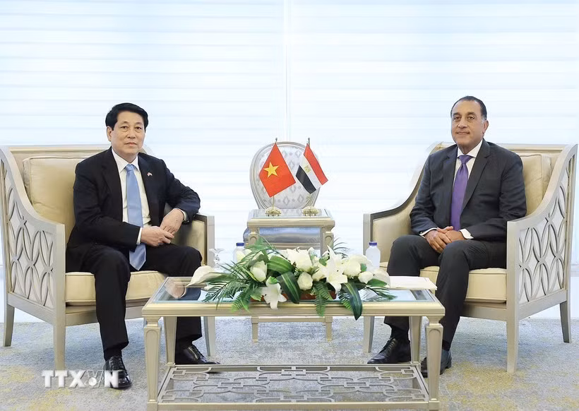 Chủ tịch nước: Việt Nam luôn coi trọng phát triển mối quan hệ với Ai Cập -0