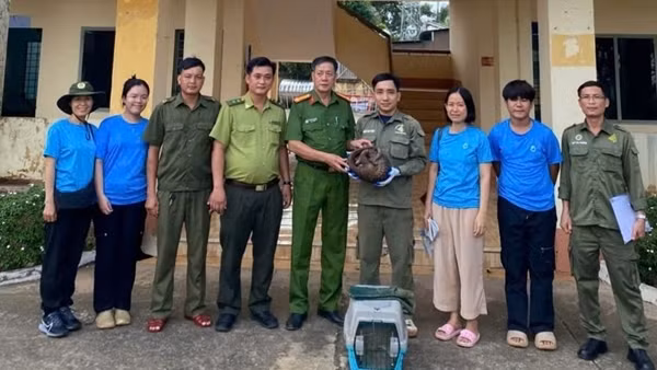 Công an xã kịp thời cứu hộ tê tê Java quý hiếm