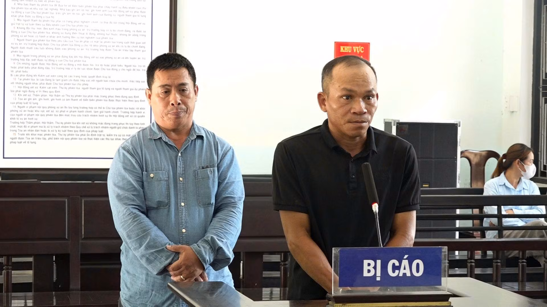 Làm giả hàng loạt giấy phép lái xe, 2 bị cáo lãnh án -0