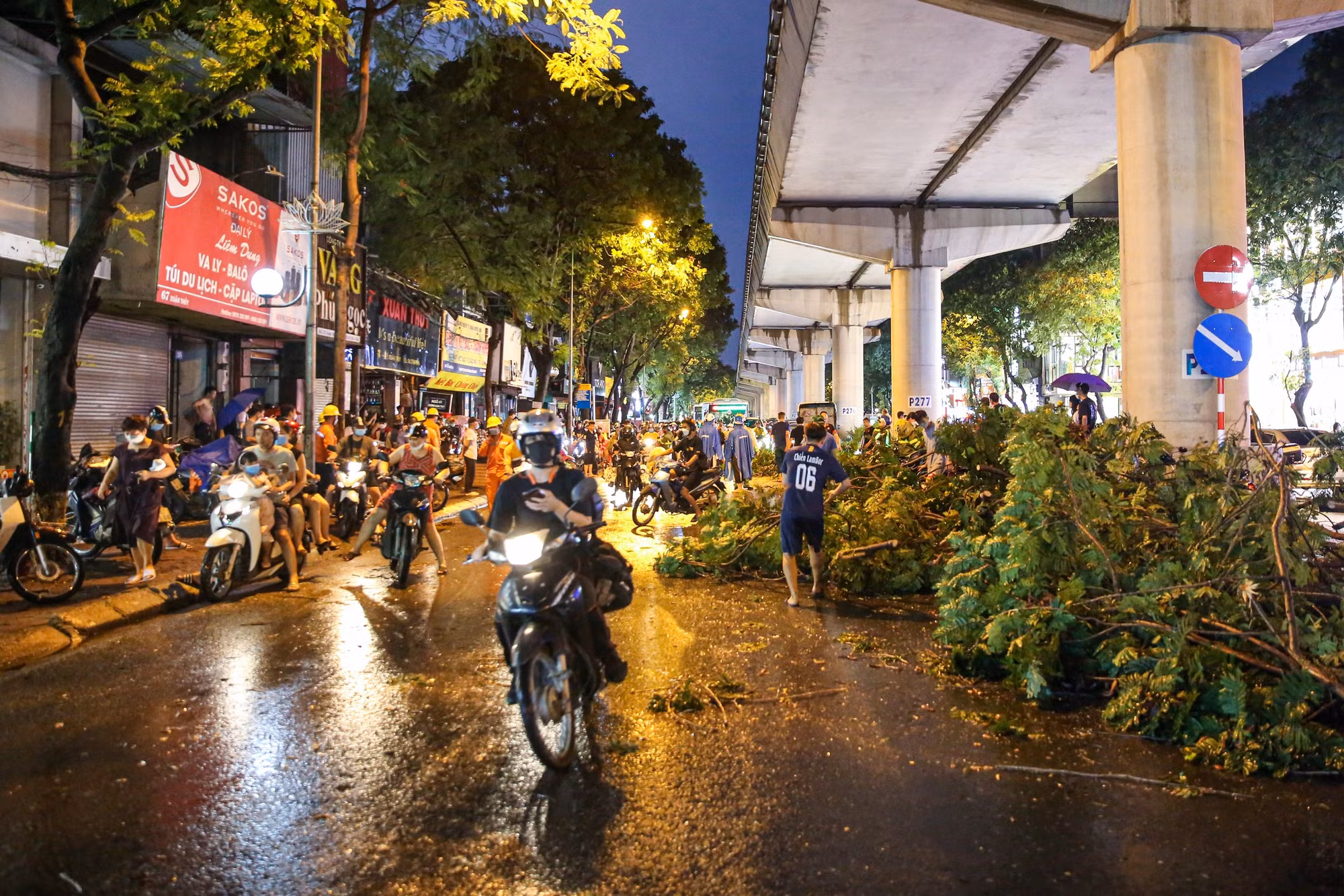 Cây xanh bật gốc, nam thanh niên thoát chết trong gang tấc -8