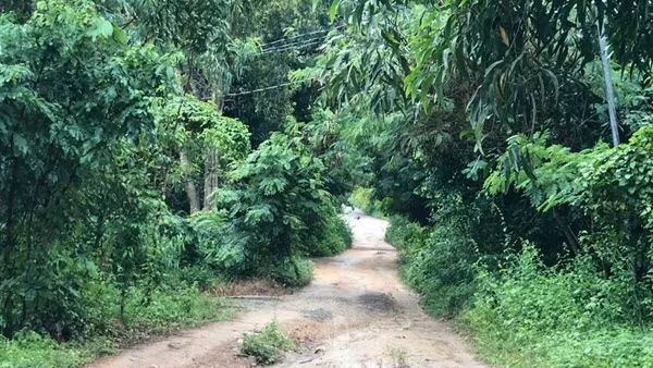 Điều tra vụ con trai dùng dao sát hại mẹ, chém gây thương tích chị gái của mình