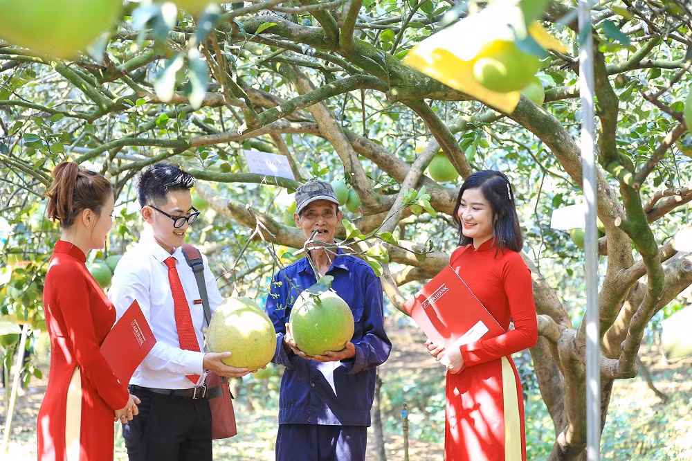 Agribank thúc đẩy phát triển bền vững với chương trình ưu đãi “xanh” -0